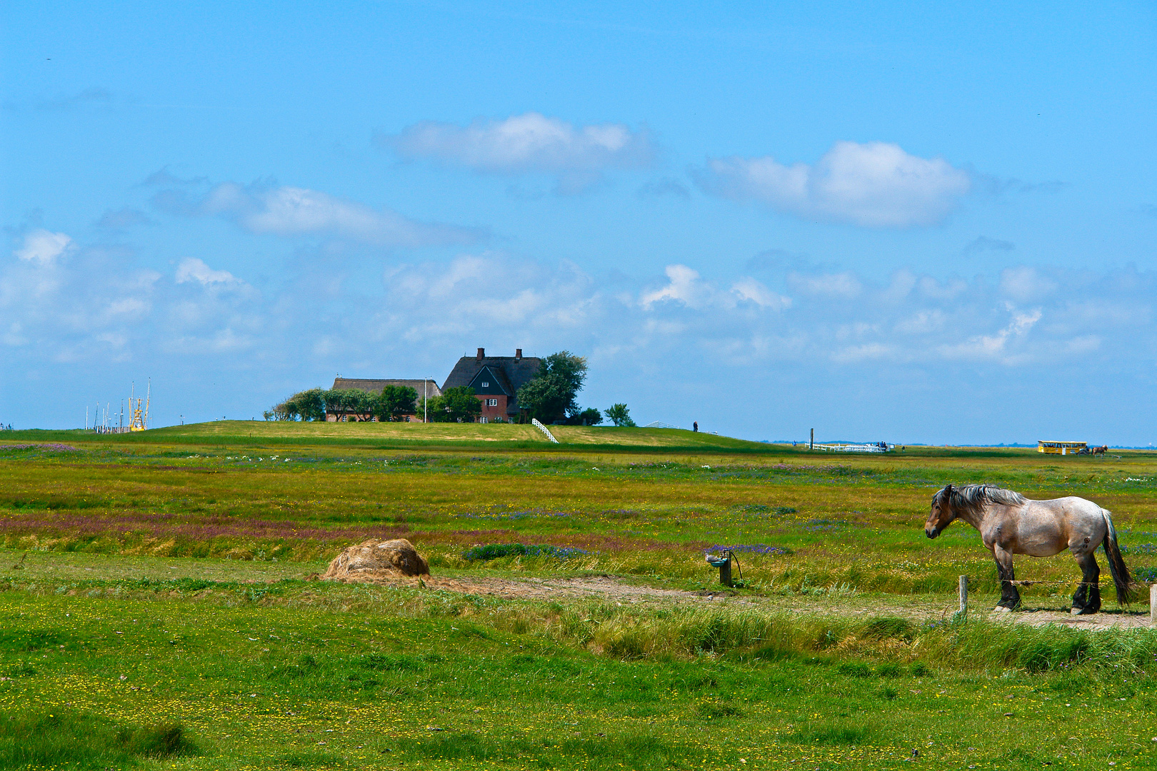 Hallig Hooge / Idylle