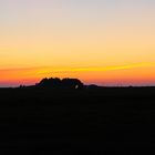 Hallig Hooge im Abendlicht