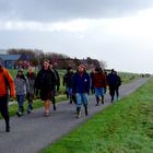 Hallig Hooge im November