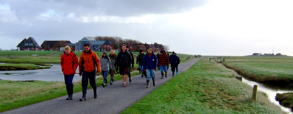 Hallig Hooge im November