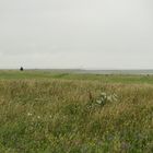 Hallig Hooge Juli 2017