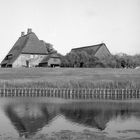 Hallig Hooge, Kirchwarft