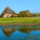 Hallig Hooge / Kirchwarft Nr. 2