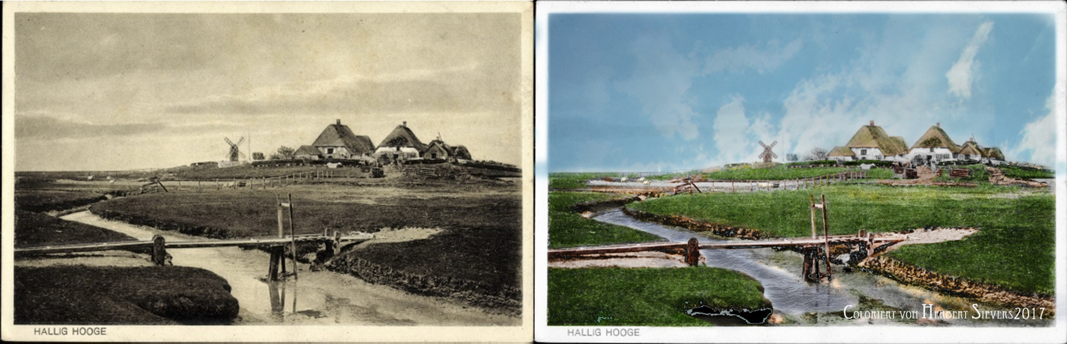 Hallig Hooge-Nord See-coloriert-2017