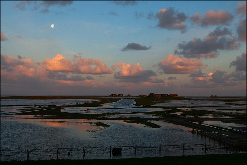 Hallig Hooge, Sonnenaufgang nach dem Land unter :-)