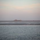 Hallig im Abendlicht