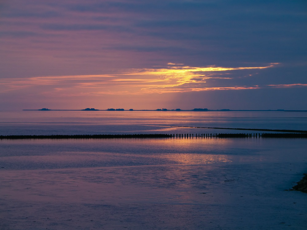 Hallig im Abendlicht