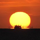 Hallig im Sonnenaufgang