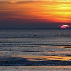 Hallig im Sonnenuntergang