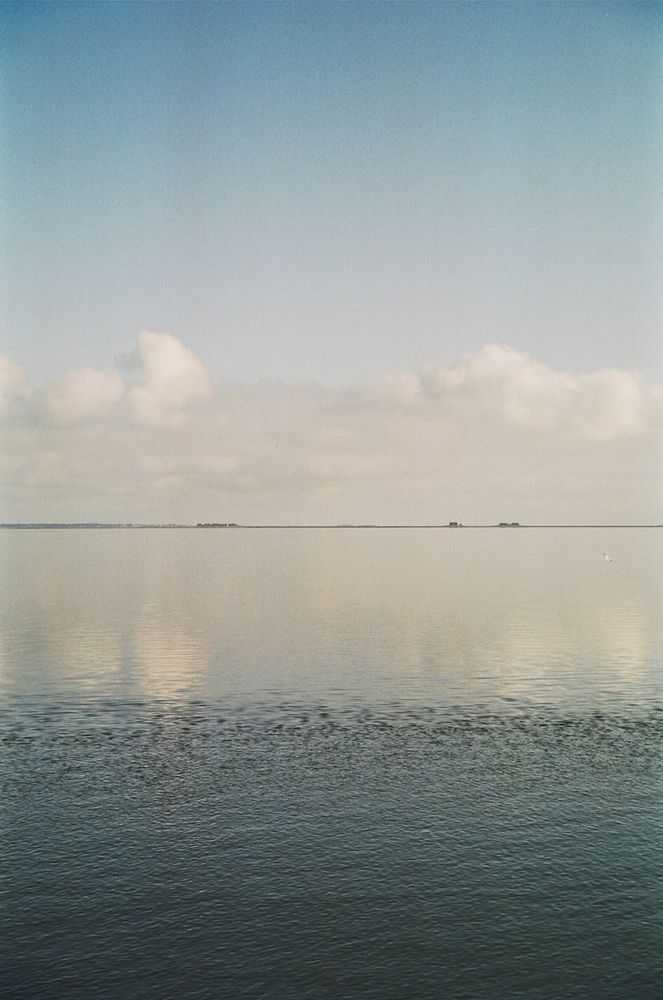 Hallig im Spiegel