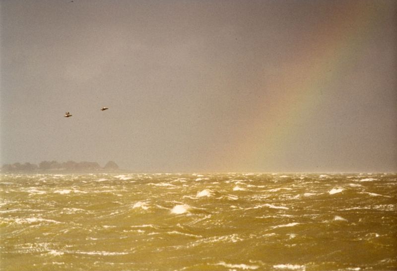 Hallig im Sturm