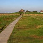 Hallig Impression