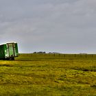 Hallig L.