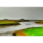 - Hallig-Landschaft -