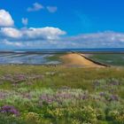 Hallig Langeneß