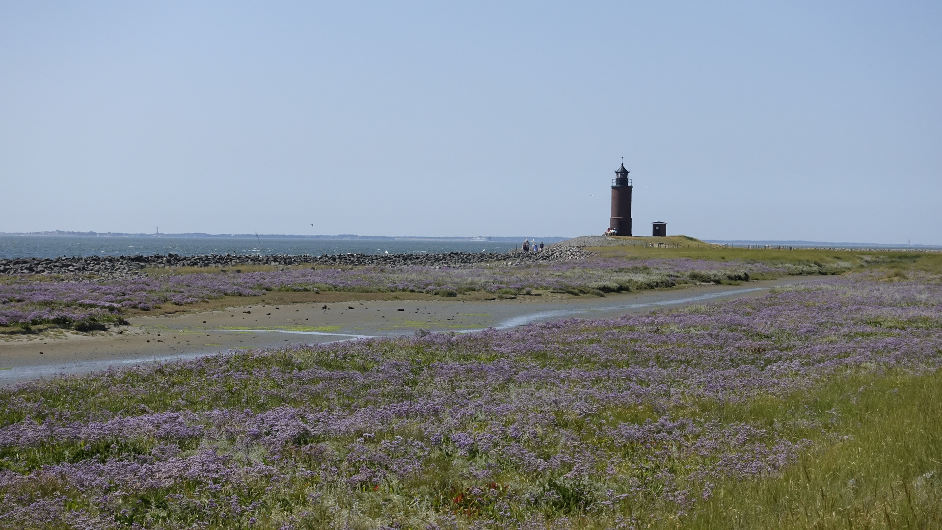 Hallig Langeness