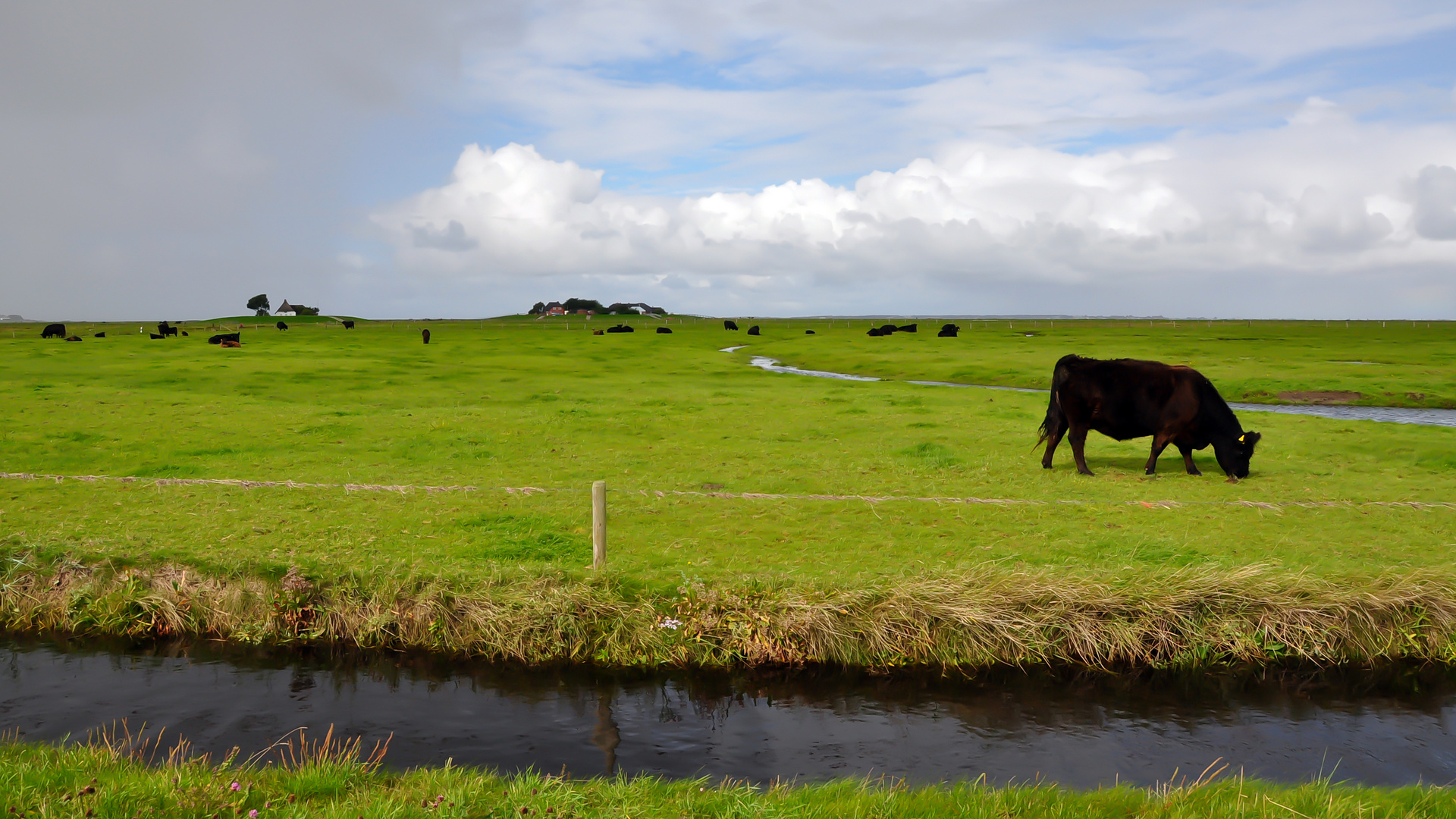 Hallig Langeneß