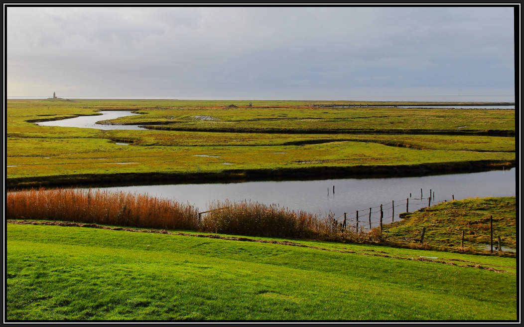 Hallig Langeneß - ist wunderschön (2)