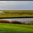 Hallig Langeneß - ist wunderschön (2)