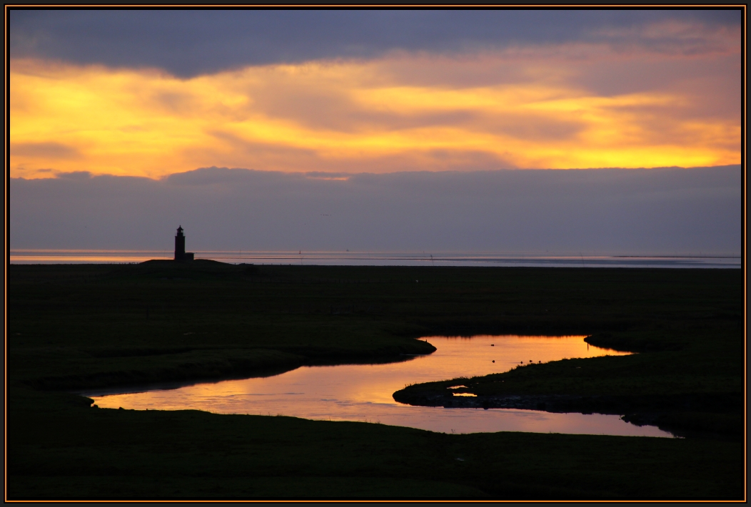 Hallig Langeneß - ist wunderschön (3)