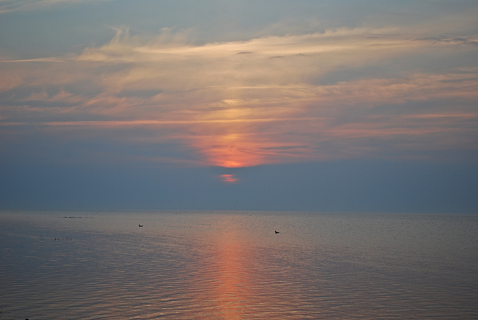 Hallig-Licht...