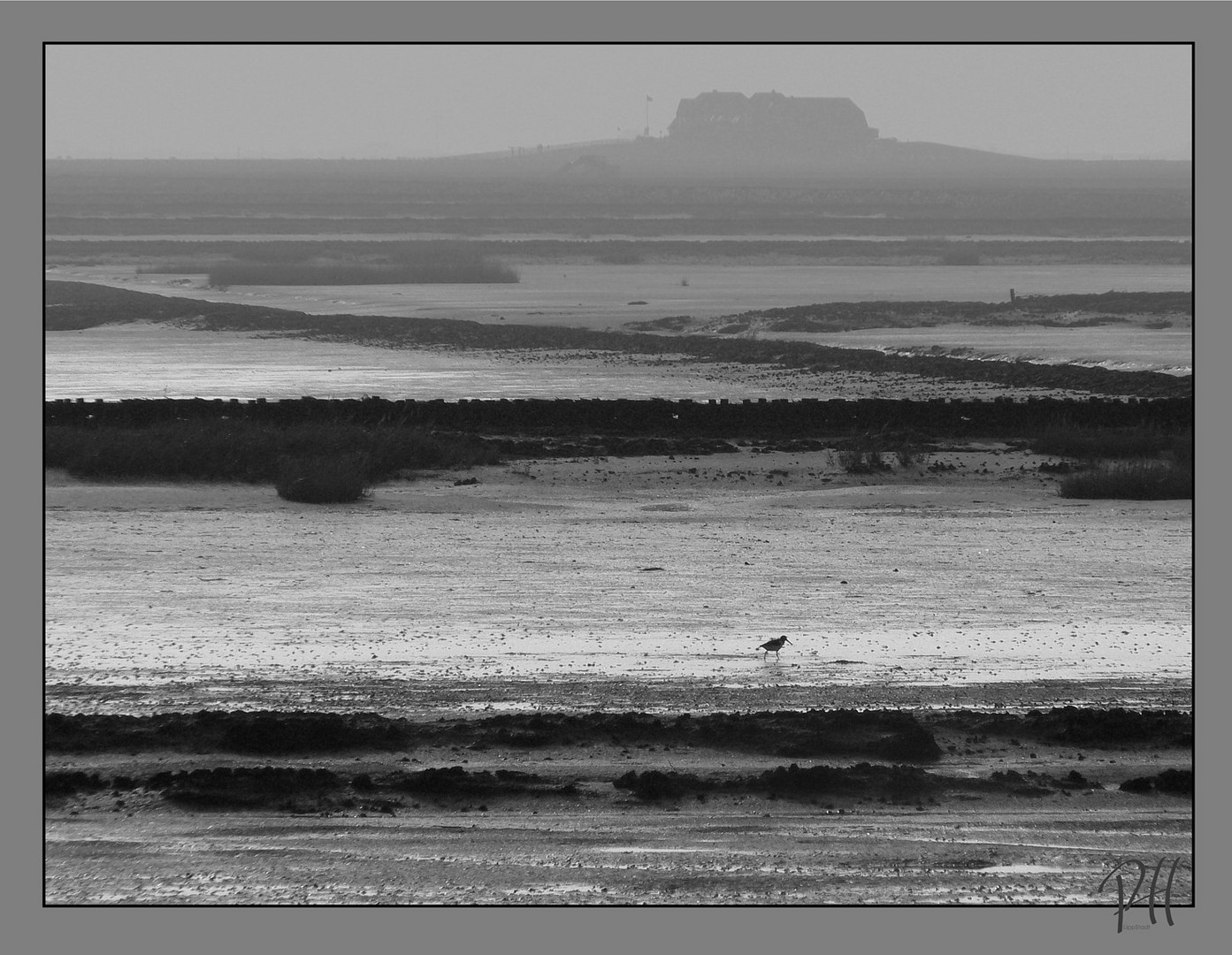 Hallig-Meer (Nordsee)