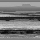 Hallig-Meer (Nordsee)