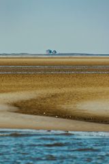 Hallig Norderoog