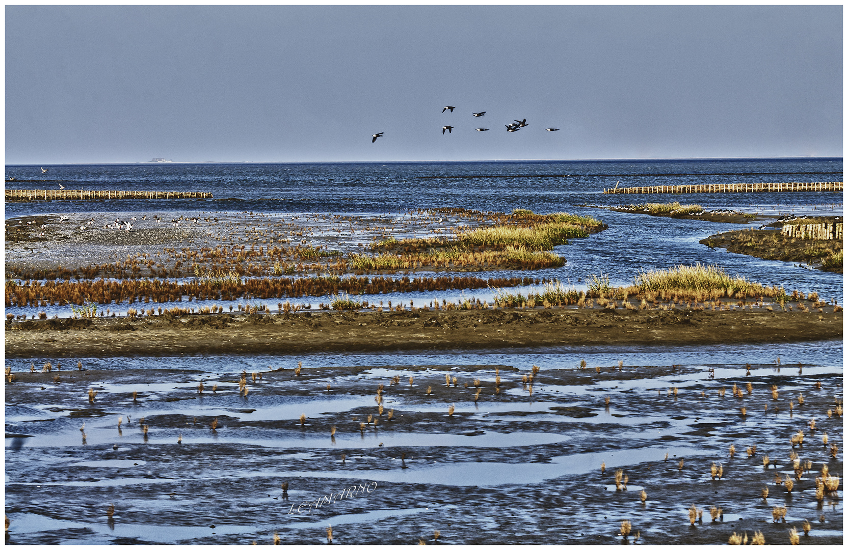 Hallig Nordstrandischmoor 1