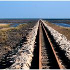 Hallig Nordstrandischmoor 3