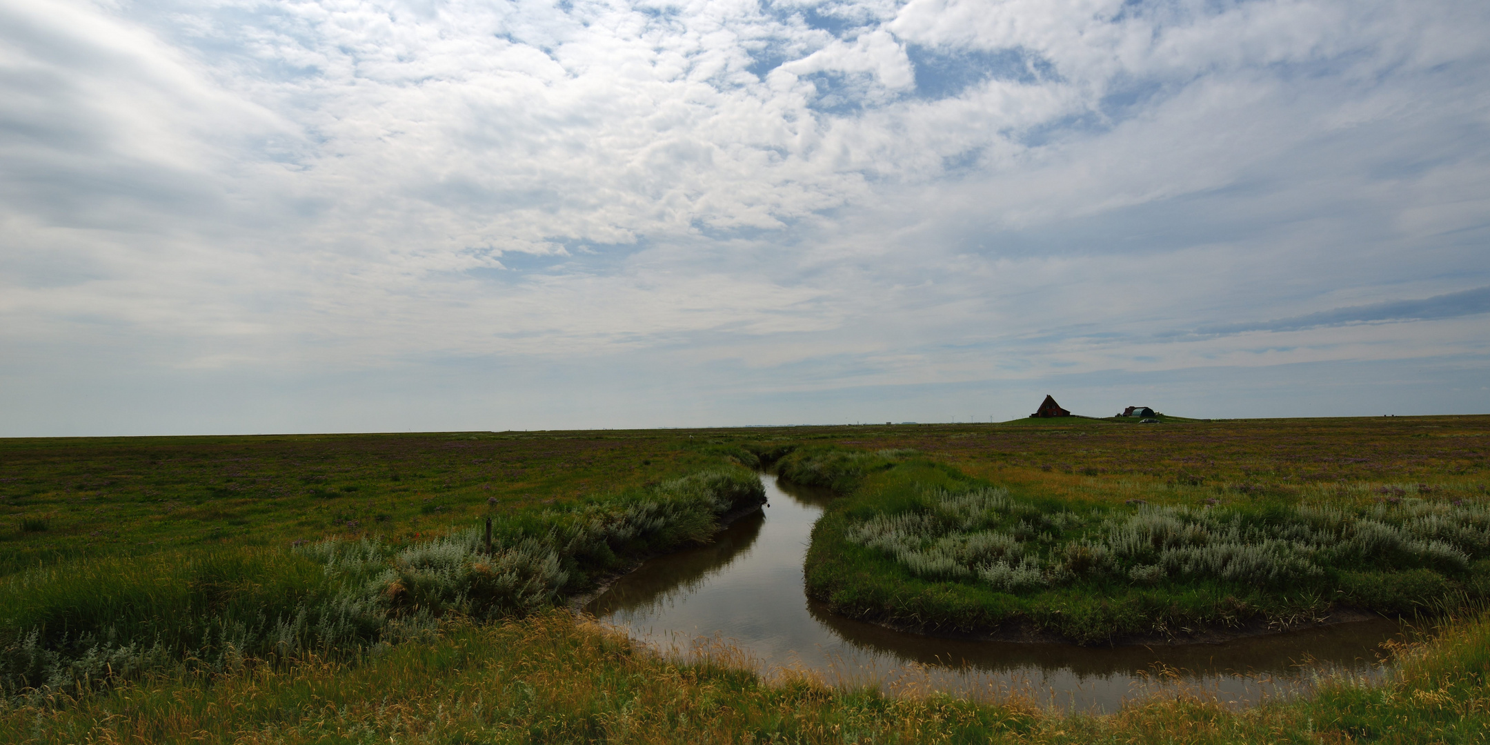 Hallig Nordstrandischmoor