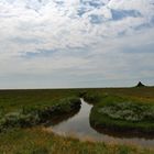 Hallig Nordstrandischmoor