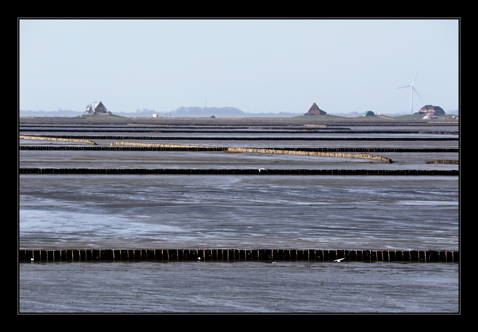 Hallig Nordstrandischmoor