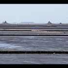 Hallig Nordstrandischmoor