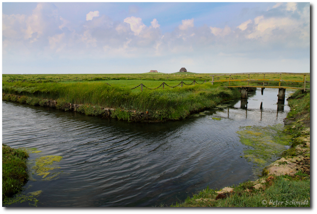 Hallig Nordstrandischmoor