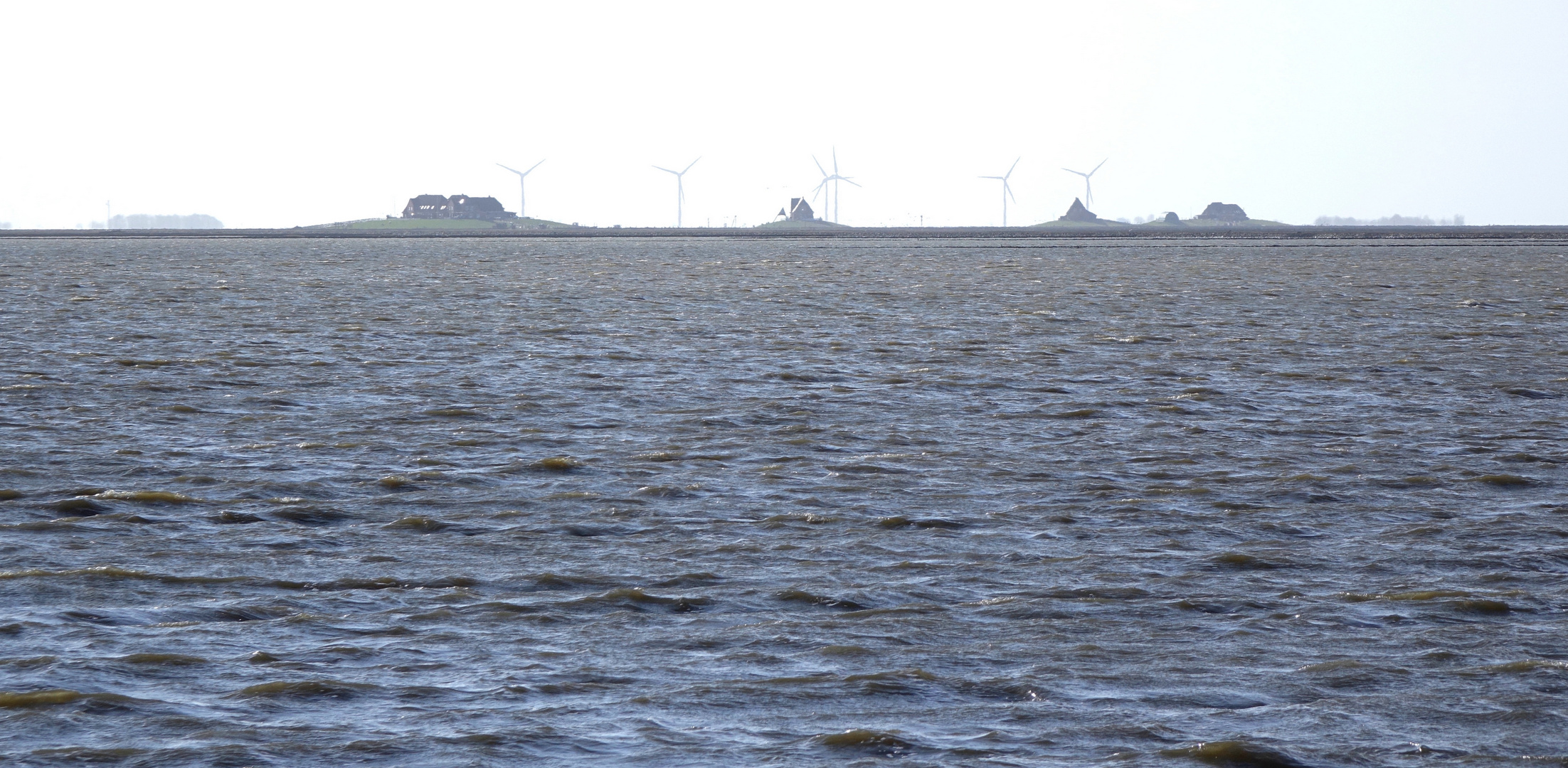 Hallig Nordstrandischmoor...