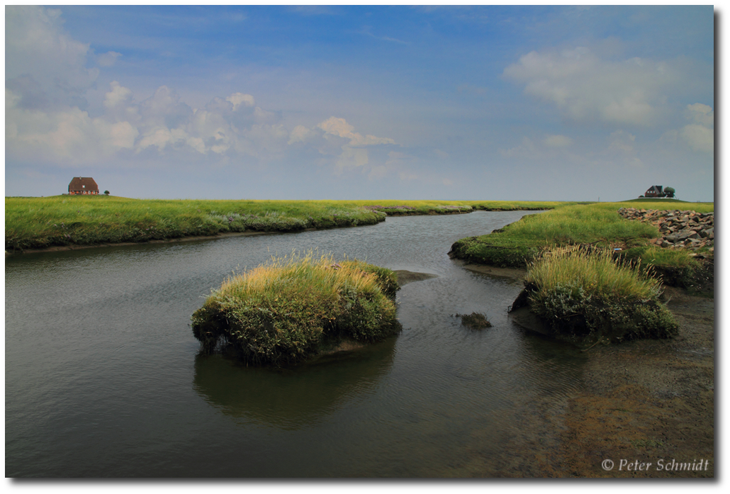 Hallig Nordstrandischmoor "Die Paare"