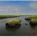 Hallig Nordstrandischmoor "Die Paare"