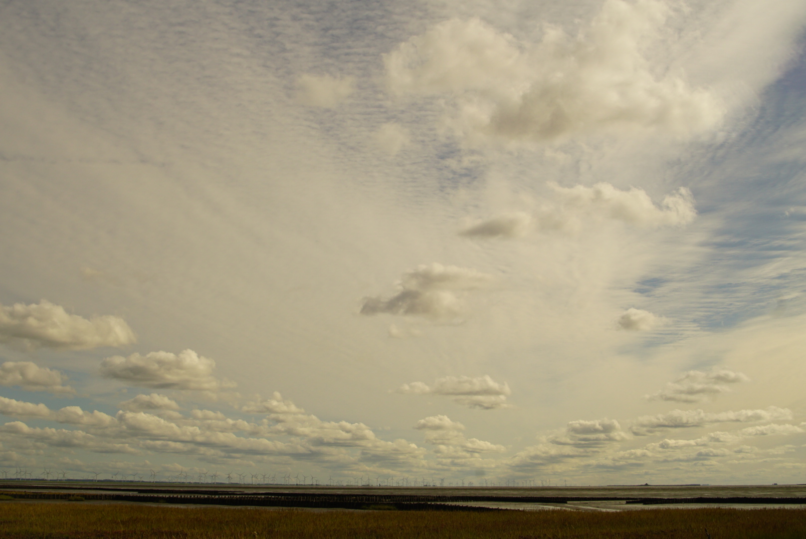 Hallig Oland