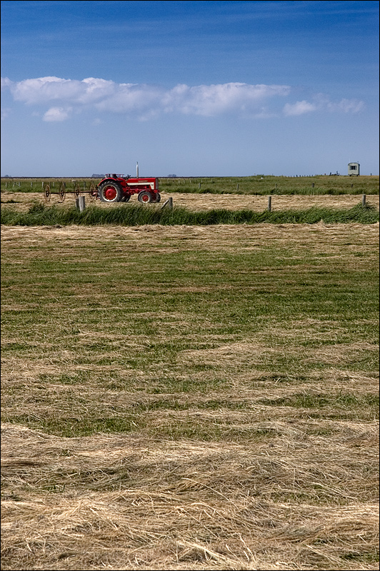 Hallig Oland