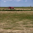 Hallig Oland