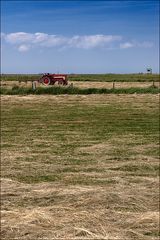 Hallig Oland