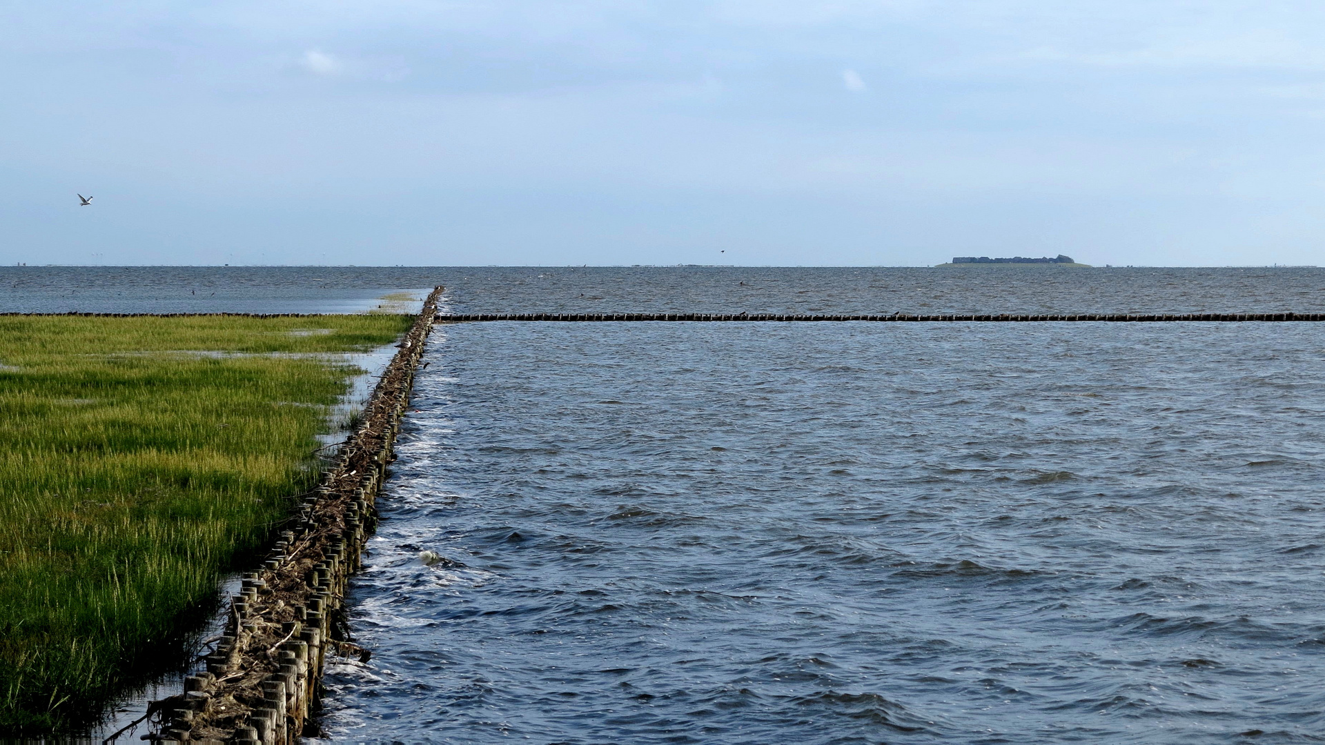 Hallig Oland in Sicht...