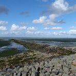 Hallig Südfall