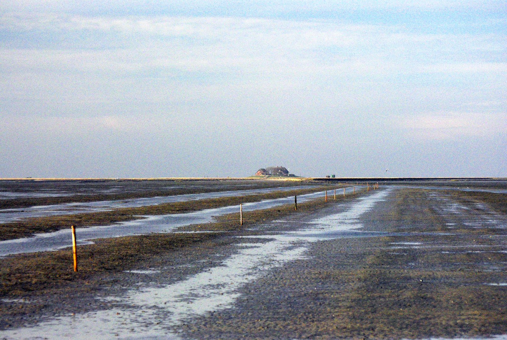 Hallig Südfall