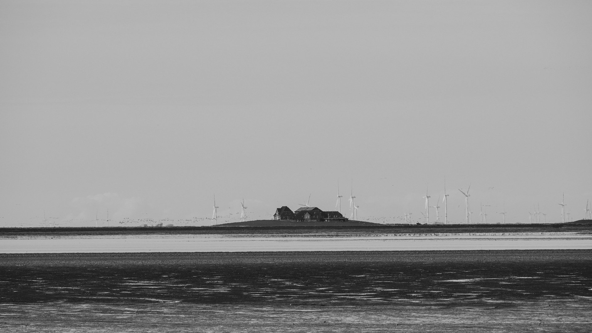 Hallig vor Nordstrand