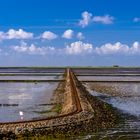 Halligbahn, Wattenmeer, Nordfriesland