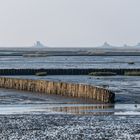 Halligwelt Nordfriesland bei Ebbe