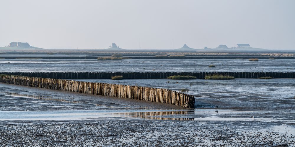 Halligwelt Nordfriesland bei Ebbe