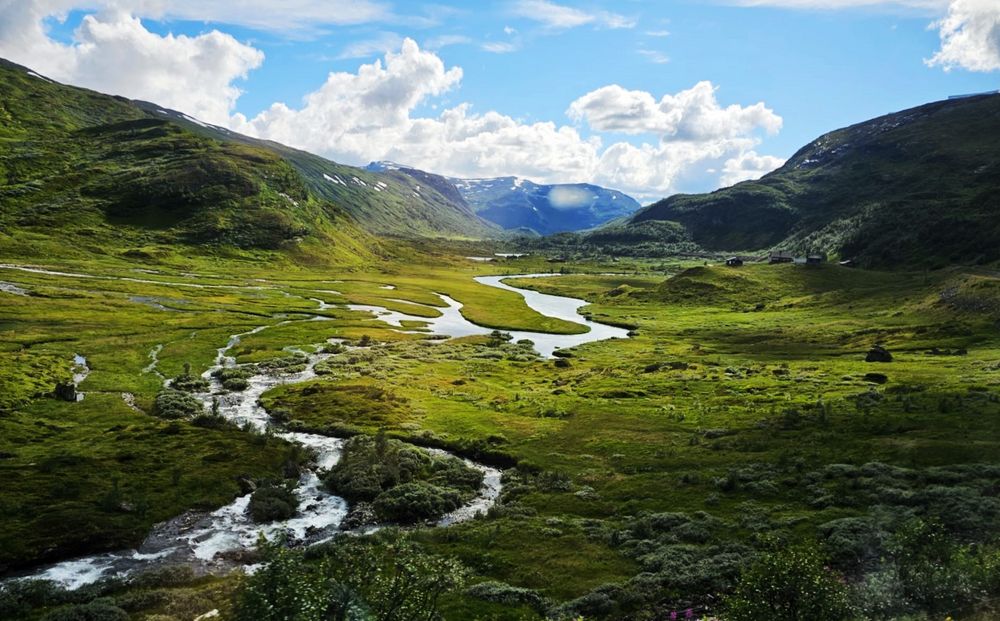 Hallingskarvet nasjonalpark